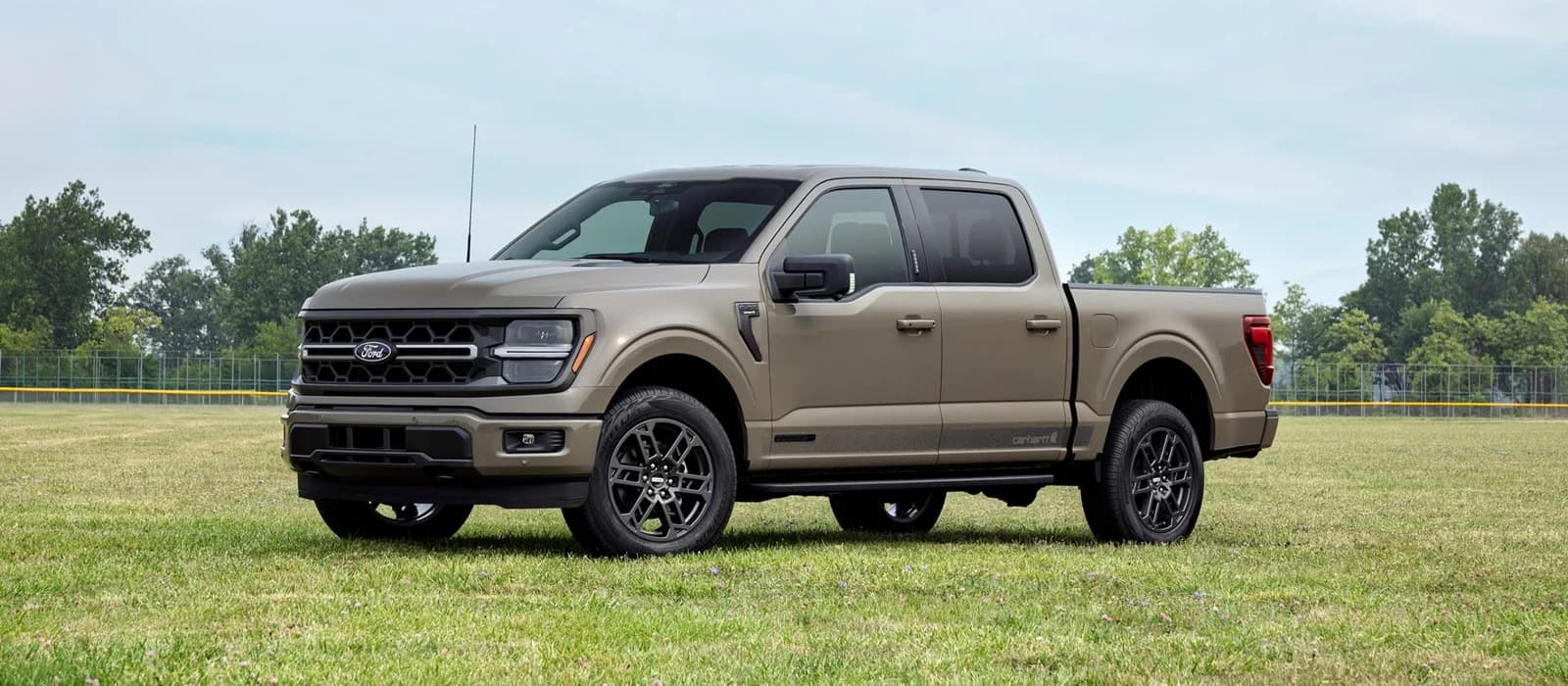 2027 Ford F-150 XLT Carhartt Edition in a field